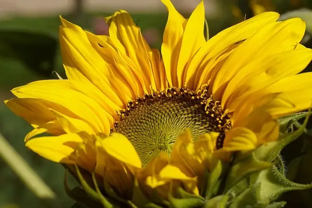 Tactful Approaches to Grief
